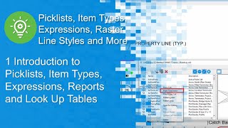 1 Picklists Item Types Expressions Reports and Look Up Tables an Introduction [upl. by Serafine6]