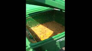 Extreme Maggot Infestation Monmouth County New Jersey Pest Control [upl. by Ahseit]