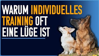 Wieso wollen wir unsere Hunde ständig ändern [upl. by Leonerd]