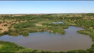 504  Acre Ranch in Runnels County [upl. by Nady]