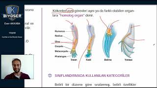 Tema Yaşam Canlıların sınıflandırılması Sistematik [upl. by Nevets]