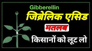 gibberellic acid function in plants।how does gibberellic acid affect plant growth। [upl. by Sterling]