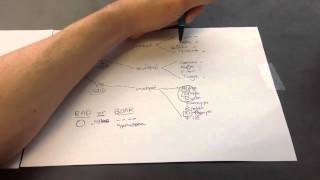 DNA and RNA Viruses Mnemonic for USMLE Step 1 [upl. by Derfiniw]