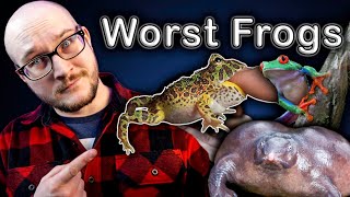 Top 5 WORST Pet Frogs and 5 BETTER Options Youve Never Heard Of [upl. by Quiteria]