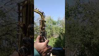 Better shreksophone shrek saxophone doover [upl. by Ahsi170]