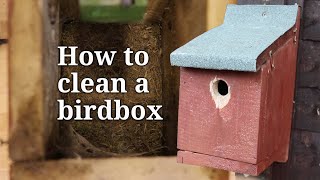 How to Clean a Bird Box [upl. by Dede304]