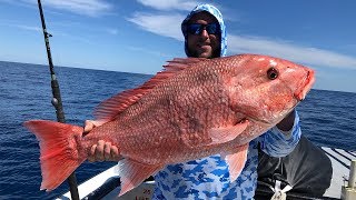 How To Catch Big Red Snapper Like A PRO [upl. by Gans]