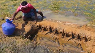 MURREL FISH CATCH AND COOKING A very delicious Dinner in Nature in Village [upl. by Aloin]