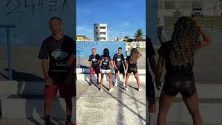 PISEIRO DANCINHA dance 2025 dance dancarina piseiroremix dancemoves danca dancesteps [upl. by Oirasec703]