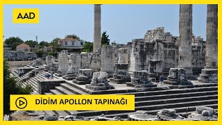 DİDİM APOLLON TAPINAĞI 🎧 [upl. by Aihsiek]