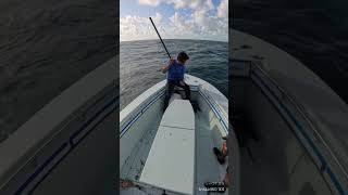 Big Cobia fishing [upl. by Malha73]