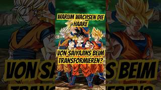 WARUM Wachsen die Haare von Saiyajins beim TransformierenSleepyPharao dragonball dbz goku anime [upl. by Amandi]