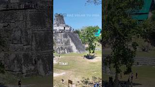 TIKAL una ciudad Maya en medio de la SELVA de Guatemala [upl. by Aztinad]