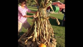 How to make a cornstalk decoration [upl. by Belding463]