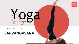 Master Shoulder Stand Sarvangasana Beginners Guide to Benefits amp Technique [upl. by Kipper]