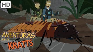 Aventuras con los Kratt  Descubriendo Nuevas Criaturas [upl. by Dixon]