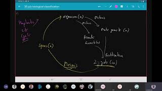 Life cycle haplontic diplontic dinoflagellates Part 11 [upl. by Sands48]