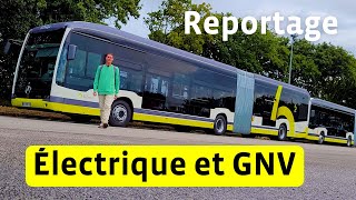 Bibus Reportage 100 Électrique et BioGNV Plus Respectueux de l’Environnement [upl. by Imelda]