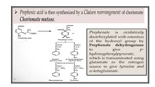 Shikimic Acid Pathway Video No 396 [upl. by Noloc]