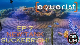 Aquarist Ep 7 Suckerfish [upl. by Lareena]