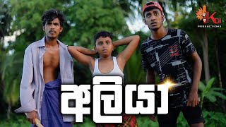 අලියා  ALIYA  KDJ PRODUCTIONS  kdjdiaries [upl. by Metzgar168]