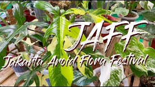 Jakarta Aroid Flora Festival 2021 Indonesia RARE Aroids Show [upl. by Ylecara]