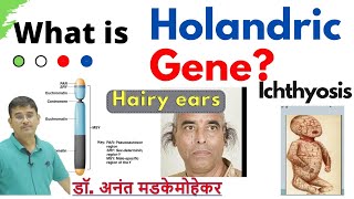 Holandric Inheritance  Holandric genes  Holandric Characters Genes on Y chromosome [upl. by Ramirolg]