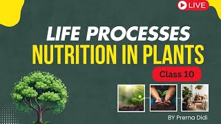 Life Processes🔥 Nutrition in Plants  CLASS 10 Science  NCERT line by line [upl. by Douville598]