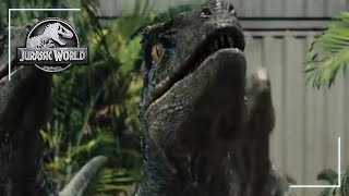 How Raptor Sound Effects Are Made  Behind The Scenes  Jurassic World [upl. by Ydnar]