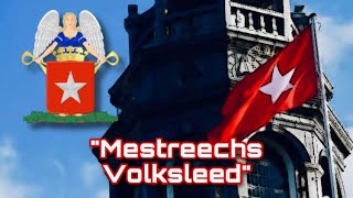 City Anthem of Maastricht Netherlands  quotMestreechs Volksleedquot [upl. by Nywrad3]