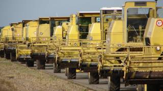 70 New Holland combines in op tocht Trekkerweb [upl. by Knapp]