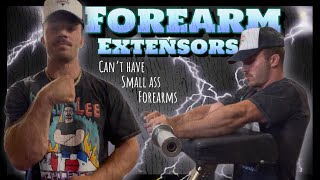 Don’t Neglect Your Forearm Extensors Very Important [upl. by Dickey]