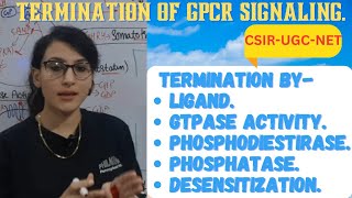 Termination of GPCR Signaling Pathway  Termination by Ligand GTPase Phosphatase Desensitization [upl. by Eckblad]