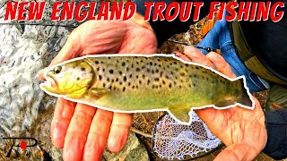 New England Trout Fishing [upl. by Eno367]