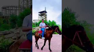 Horse riding but why  🐴 horse equestrian horseseriding shorts [upl. by Niatsirk]