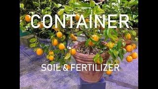 Proper Soil amp Fertilizer for CONTAINER Fruit Trees [upl. by Winston]