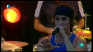 Macaco  Mama Tierra  Rock In Rio Madrid 2010 HQ [upl. by Llewon233]