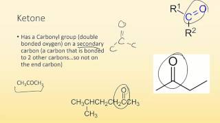 Identifying Functional groups [upl. by Mavra]