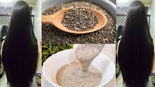 How to use CHIA SEEDS for Extreme Hair Growth  Chia Seeds Hair Mask get rid of HairFall amp Dandruff [upl. by Doro21]