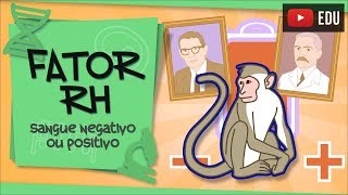 Fator Rh  por que o sangue é positivo ou negativo [upl. by Odraode]