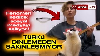 TÜRKÜ DİNLEMEDEN SAKİNLEŞMEYEN KEDİ SOSYAL MEDYAYI SALLADI [upl. by Idyak]