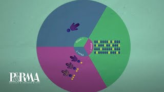 The Drug Discovery Process [upl. by Velleman847]