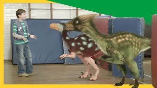 Dino Dan Treks Adventures Herbivores Vs Carnivores [upl. by Kaile]