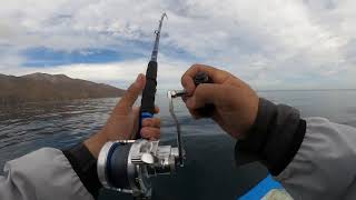 Jigging fishing gomexus sx 450 [upl. by Arihs]