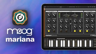 Intro to Moogs NEW Mariana Bass Synthesizer App [upl. by Ettedualc]