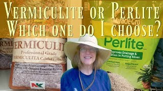 Vermiculite vs Perlite  Which Should I Choose [upl. by Rourke636]