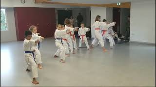 KARATE YAMATO KAN CORNAS ENTRAINEMENT DES ENFANTS ET ADOS [upl. by Atiuqiram394]