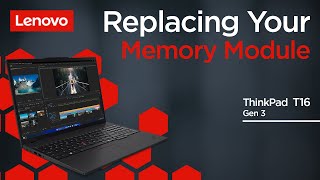 Replacing Your Memory Module  ThinkPad T16 Gen 3  Customer Self Service [upl. by Teak]