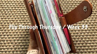 Flip Through Thursday  Week 33  August 2024  Pink Planner Girl [upl. by Eeralih608]