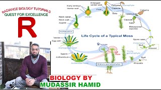 Protonema stage in the life cycle of Mosses Funaria [upl. by Luann922]